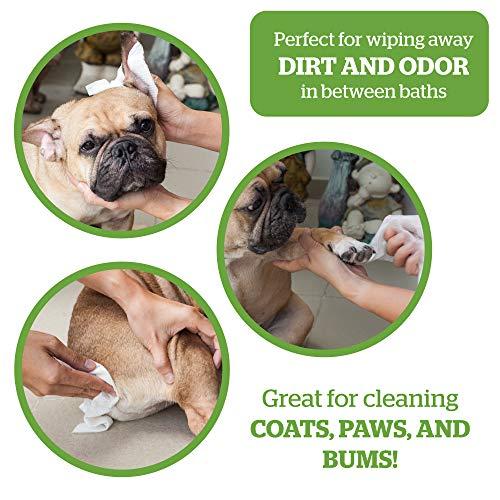 Deodorizing Wipes for Dogs /& Cats Earth-Friendly Pogis Grooming Wipes Hypoallergenic